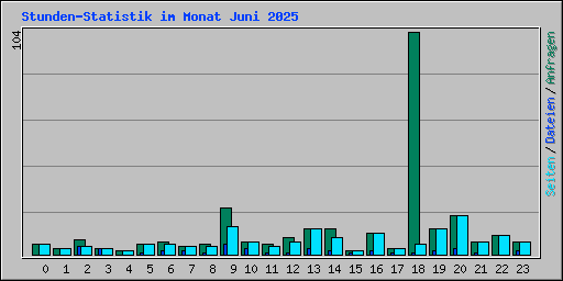 Stunden-Statistik im Monat Juni 2025